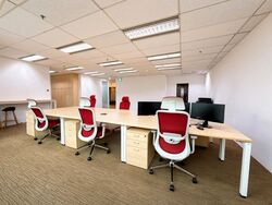 Tan Eng Kiam Building (D1), Office #633715851